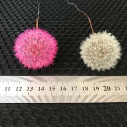 Cabeças De Flor De Dandelion Secas Naturais, Flores Preservadas com Fragrância, Material De Flor Imortal, 5PCs, 3-4cm - Image 5