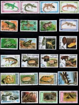 50 Pçs/lote Réptil Animais Selo Selos postais Tema Diferente De Muitos Países NÃO Repetir com Pós Marca para a Coleta de - Image 2