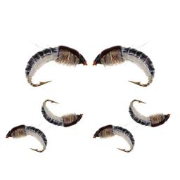 24 pçs/caixa realista nymph scud voar para a pesca da truta isca de inseto artificial simulado scud worm isca de pesca - Image 4