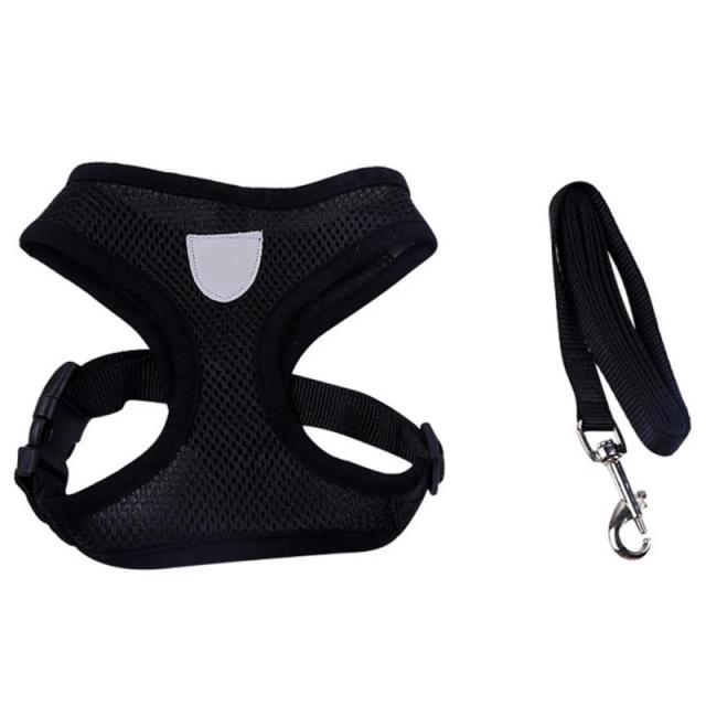 Coleira Ajustável de Nylon para Cães Grandes e Médios, Sem Tração, Ideal para Conforto e Segurança