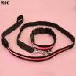 2.5cm luminosa coleira de gato do cão de estimação moda led cão pet noite segurança collar piscando luz acima de náilon colar banda suprimentos para animais estimação quente - Image 5