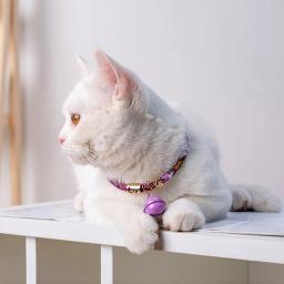 Suprimentos para animais de estimação gato sinos acessórios para animais de estimação coleiras de gato shrinkable estilo japonês elástico sinos coleiras de gato anti-perdido bonito rabbi - Image 2