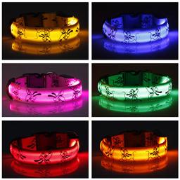 Coleira de cão led luz noite segurança náilon pet coleira de cão brilhante brilhante colar de cão de estimação itens eletrônicos - Image 6