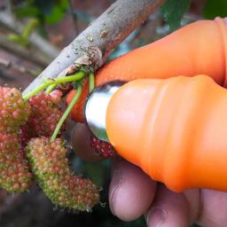 Silicone polegar faca protetor de dedo engrenagens corte faca de colheita vegetal beliscar planta lâmina tesoura luvas de jardim - Image 2