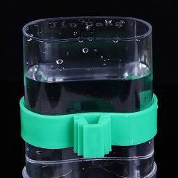 Alimentador de água para aves, automático, copo de beber, papagaio, suprimentos para animais de estimação - Image 5