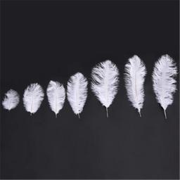 Atacado elegante branco penas de avestruz para artesanato 15-75cm fontes de festa de casamento carnaval dançarino decoração plumas plumages - Image 2