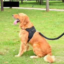 Arnês ajustável com trela para cão pequeno e grande, colete reflexivo, pet fornecimentos, respirável - Image 4