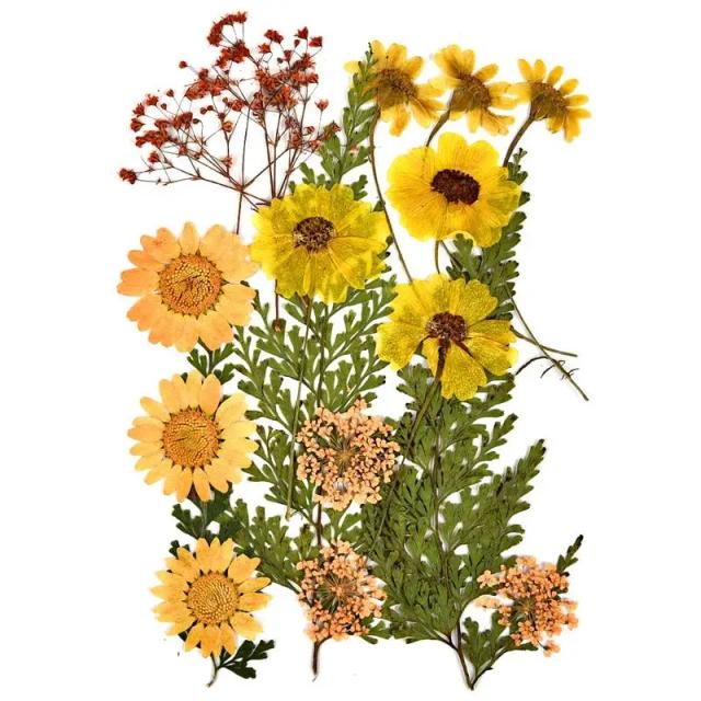 Kit de Resina UV com Flores Secas: Adesivos Naturais e Decalques para Decoração de Joias e Projetos DIY