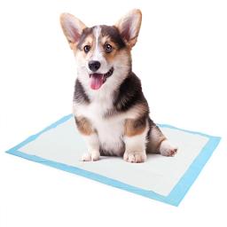 Super Absorbent Pet Fralda, Dog Training Pee Pads, Tapete de fralda de urina descartável, Cage Mat, Pet Shop, Hot - Image 5