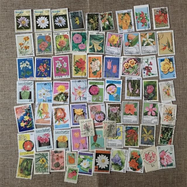 Lindas flores de diversos países em um conjunto exclusivo com 50 peças e selos postais para coleção