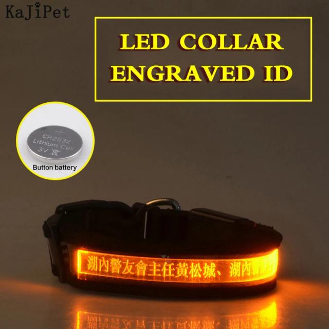Tag ID Personalizada para Animais de Estimação com Coleira USB LED e Identificação Gravada - Acessórios de Nylon para Cachorros e Gatos