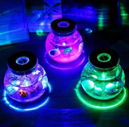 Luz noturna de led criativa rgb para crianças, 13 cores, decoração de cabeceira, aquário, lâmpada infantil, presente de feriado para namorada - Image 6