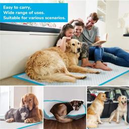 Tapete de fraldas descartáveis para pet, Almofada Absorvente para Cachorro, Toalha de Chão para Gato, Suprimentos Fisiológicos para Cachorro, Training Pads for Pee - Image 2
