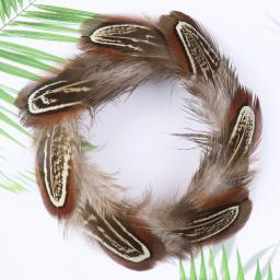 Faisão natural galo penas para artesanato jóias que faz a roupa costura acessórios decoração 5-8cm plumas atacado 50 pçs - Image 5