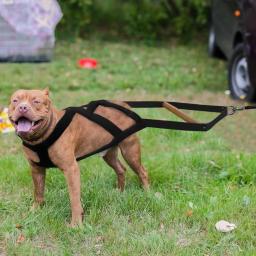 Guia para cães, durável, acolchoado, macia, para puxar peso, treinamento para cães de médio e grande porte - Image 5