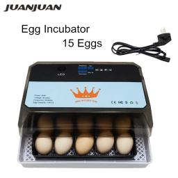 Mini Incubadoras de Ovos Digitais com Controle de Temperatura, Automático, Doméstico, Fazenda, Frango, Pato, Codorna, Hatcher, HT-15 - Image 1