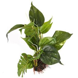 Água verde artificial grama aquário tanque de peixes subaquática planta de plástico peixe & suprimentos para animais de estimação - Image 2