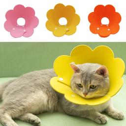 Coleira eletrônica de recuperação de gato, colar feminino para cura contra feridas e cicatrização - Image 3