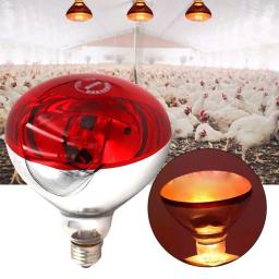 Lâmpada de aquecimento de criação para porco frango 100/150/200/250w lâmpadas de calor luz agrícola infravermelho ray led hatch cão gato cor vermelha - Image 5