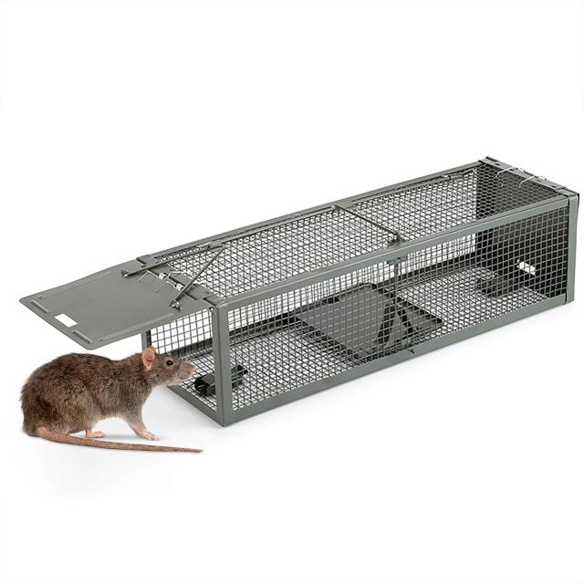 Armadilhas Eficazes para Captura de Ratazanas: Soluções para Eliminar Ratos em Casa