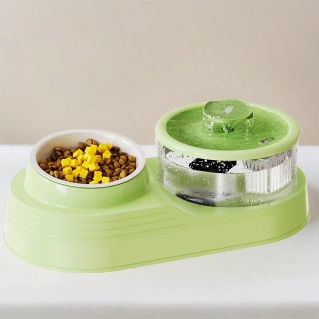 Fonte automática de água com tigela dupla e dispenser elevado para gatos e cães - Alimente com separação de alimentos secos e úmidos