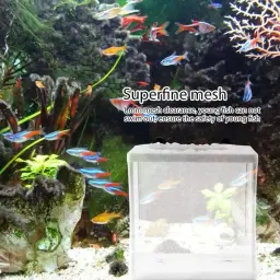 Aquário Isolamento Box, Fish Incubatório Net, Fish Breeding, Isolamento Ventosa, Acessório Caixa Fixa, Peixe Cuidados Suprimentos - Image 3