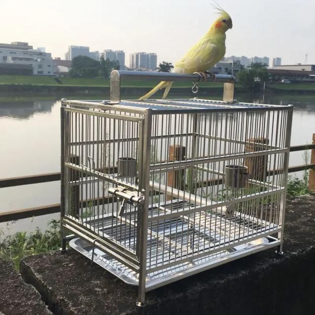 Gaiola Portátil de Aço Inoxidável com Alimentador para Papagaios e Acessórios para Budgies