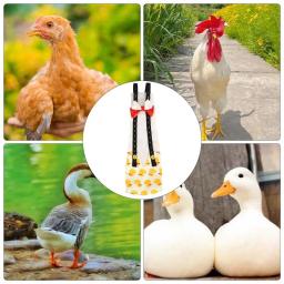 Fraldas laváveis do pato para o animal de estimação, fralda do pato, fraldas do ganso, ternos do voo, suprimentos das fraldas das aves domésticas, calças bonitos - Image 2