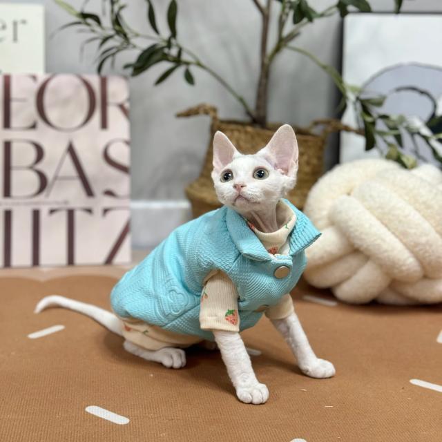 Casaco impermeável e acolchoado para gatinhos Sphynx e Devon Rex, térmico e quente para o inverno, estilo vermelho para o Ano Novo