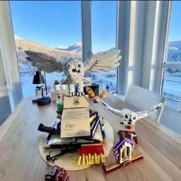 Novo 3010 pçs colecionadores edição pássaro blocos de construção montagem 76391 modelo aniversário para adultos brinquedos presentes natal - Image 3