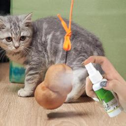 Cat Catnip Spray para gatinhos e gatos, ingredientes saudáveis, fácil de usar, suprimentos seguros para animais, atraente, 50ml - Image 3