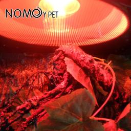 Lâmpada de calor réptil, Lâmpada de ponto basking infravermelho, Lâmpadas répteis, Serpente Anfíbia, Luz Terrario, 110V 220V, 25W, 50W, 100W - Image 5