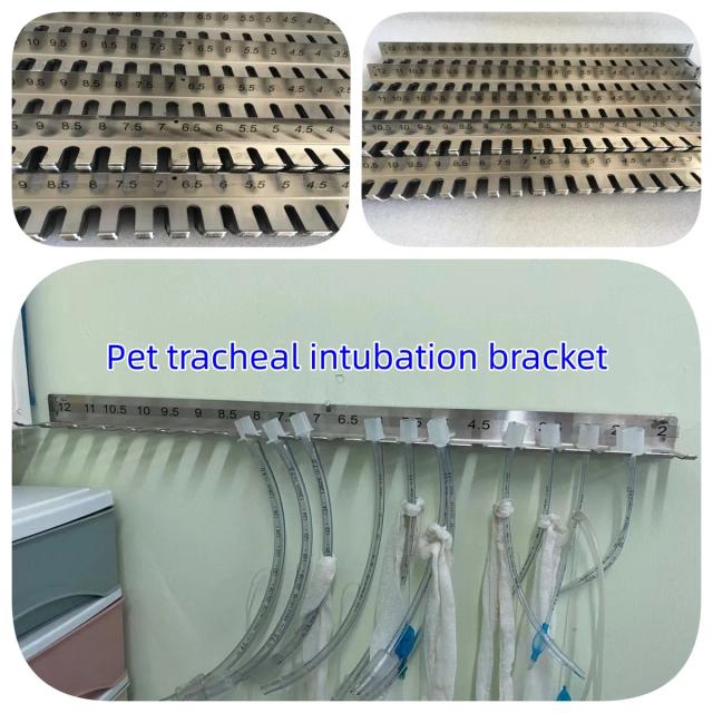Suporte Tracheal para Armazenamento de Animais de Estimação em Aço Inoxidável 304