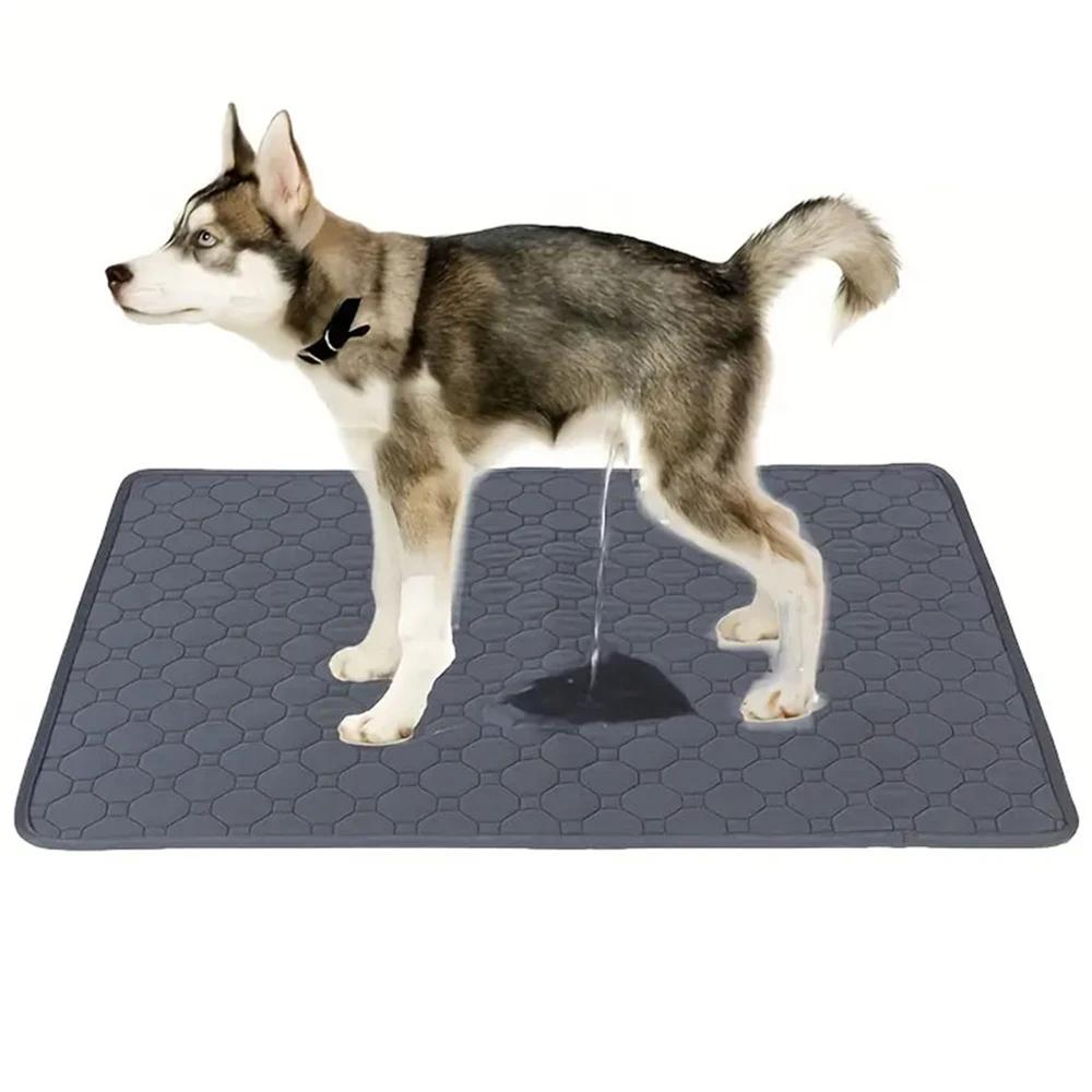 Reutilizável lavável cão Pee Pad, esteira de urina, assento de carro, sofá do assoalho, impermeável, absorvente, fralda de treinamento, cachorro, gato, Pet Supplies - Image 1