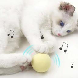 Brinquedo de treinamento interativo para gatos, Pet jogando bola, Squeaky Suprimentos, Smart Catnip Brinquedos, Kitten and Kitty Products - Image 1