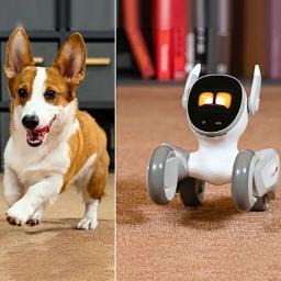 Loona inteligente cão de estimação ai companheiro interativo eletrônico animal de estimação monitoramento remoto crianças robô brinquedo do cão - Image 4