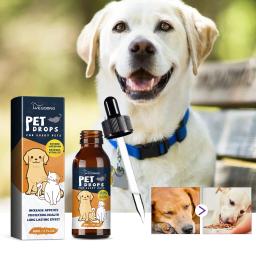 Pet Nutrição Suplemento para Digestão Saúde, Cuidados Gastroinários, Estômago Condicionado, Melhorar o Apetite, Dog Health Drop - Image 4