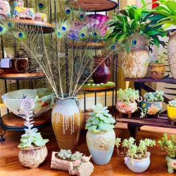 Penas de pavão reais naturais para decoração, vasos artesanais, longos, grandes, espada, decoração, vaso, apanhador de sonhos, acessórios, atacado - Image 6