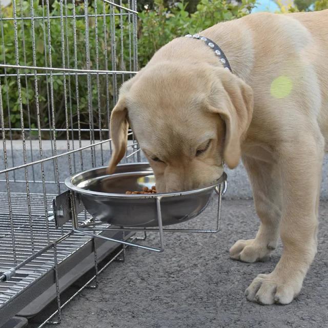 Suporte de Metal para Tigela de Aço Inoxidável para Cães e Gatos - Alimentador Fixo Antirreversível de 23cm
