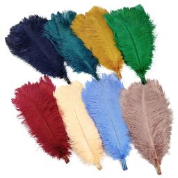 10 pçs/lote novas penas de avestruz coloridas decoração de penas brancas diy peças centrais de mesa vasos artesanato acessórios de carnaval decoração - Image 1