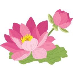 Corte de metal morre para artesanato DIY, planta lótus, lindas camadas, flor de lírio de água, papel cartão, Scrapbooking, novo, 2023 - Image 3