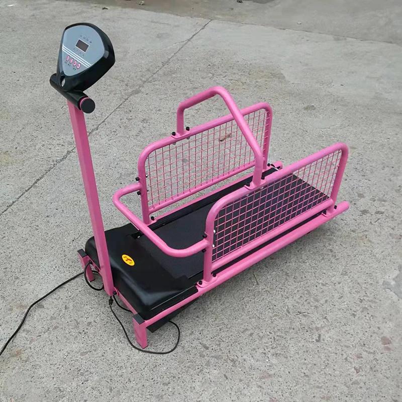 Esteira animal para cão, pet fornecimentos, várias opções como velocidade, distância de tempo e calorias, 200W - Image 1