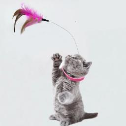 Brinquedo interativo com penas Varinha para gatos, Teaser de penas engraçado, Vara com sino, Coleira de gatinho, Brinquedos de treinamento para gatos - Image 1