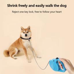 Retrátil automática Pet Dog Leash, andando e andando suprimentos, sem emaranhado Andar chumbo, cães pequenos e médios - Image 2