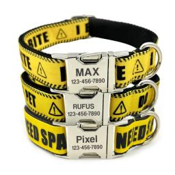 Eu preciso de espaço personalizado filhote de cachorro gato nome id tag ajustável basic coleiras do cão - Image 1