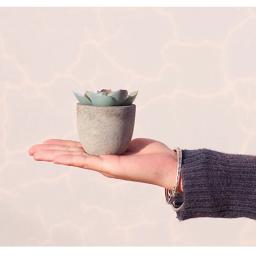 Mini artificial aloe plantas bonsai pequeno simulado vaso de árvore plantas falsas flores mesa escritório vasos ornamentos casa decoração do jardim - Image 2