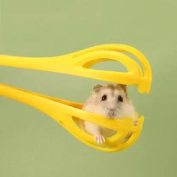 Suprimentos de Brinquedo Interativo Sparkbear Hamster, Gaiola De Coelho Holandês, Armadilha De Paisagismo, Seguro e Fácil de Limpar, 1Pc - Image 4