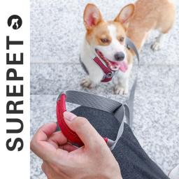 Ajustável Pet Harness Vest, malha reflexiva, cinta no peito, cão e gato pequenos e grandes, acessórios para cachorros - Image 5