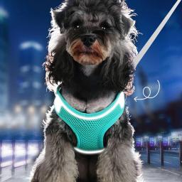 MADDEN-Dog Harness Vest Set, Cat Chest Rope, reflexivo, respirável, ajustável Pet Harness para cães pequenos e médios, caminhada ao ar livre - Image 3