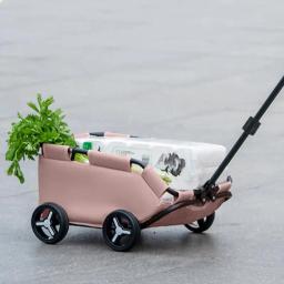 Carrinho de cachorro universal para cães pequenos, rolamento Cat Carrier, Pet Carriage, 4 rodas, leve, carrinho dobrável, carrinho de compras - Image 3